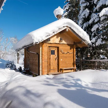 In St Martin With Sauna & Mountain Views Sankt Martin am Tennengebirge